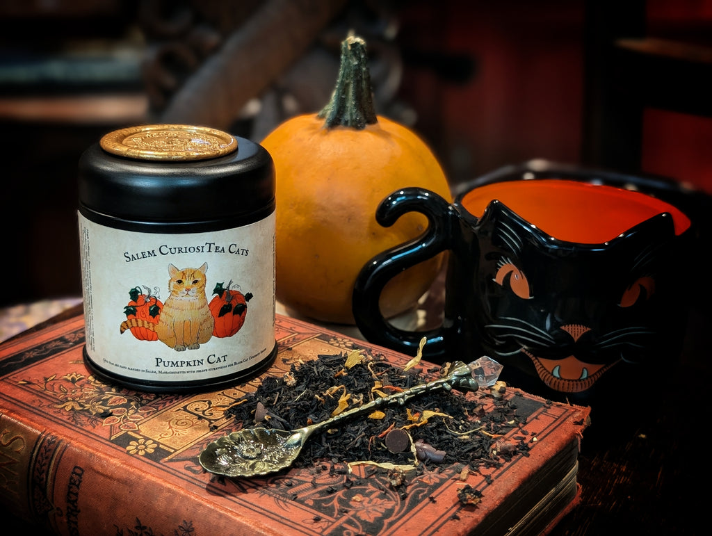 CuriosiTea Pumpkin Cat Tea 2oz