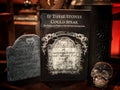 If These Stones Could Speak: The History and People of the Old Salem Burying Point - Daniel Fury