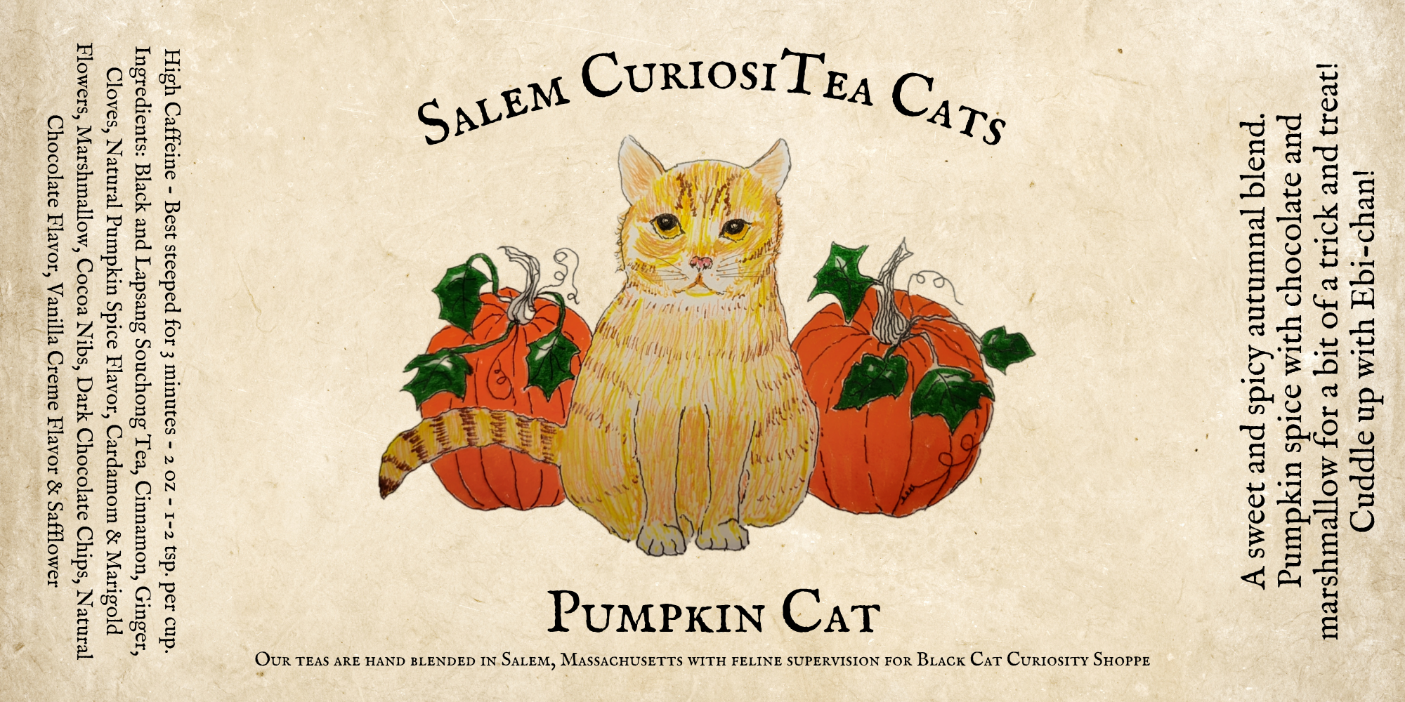 CuriosiTea Pumpkin Cat Tea 2oz