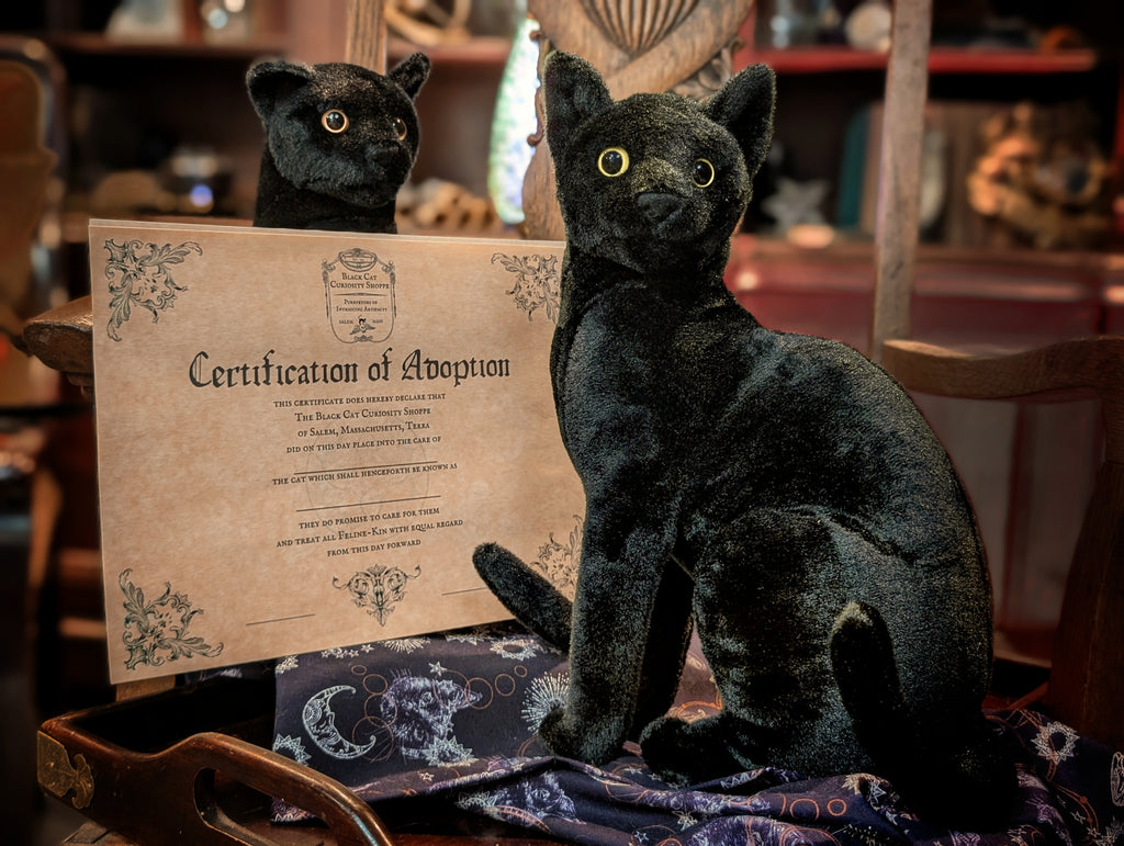Adoptable Black Cat Plush
