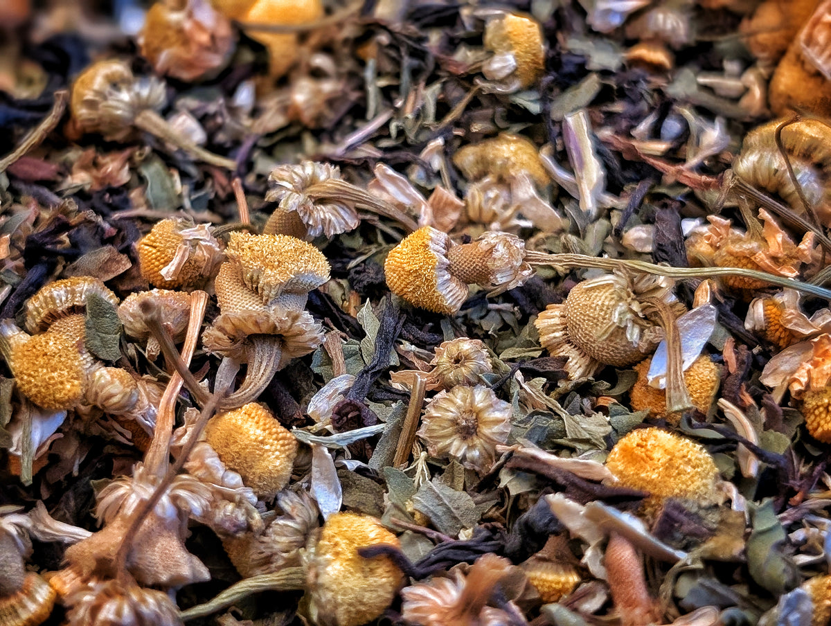 CuriosiTea Egyptian Cat Tea 2oz